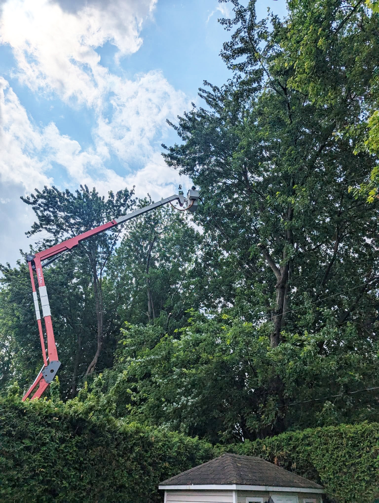 Goman Insulated Spider Lift X23E: una poderosa herramienta para resolver el conflicto de la l&iacute;nea de &aacute;rboles